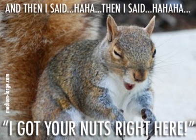 laughing-squirrel-2